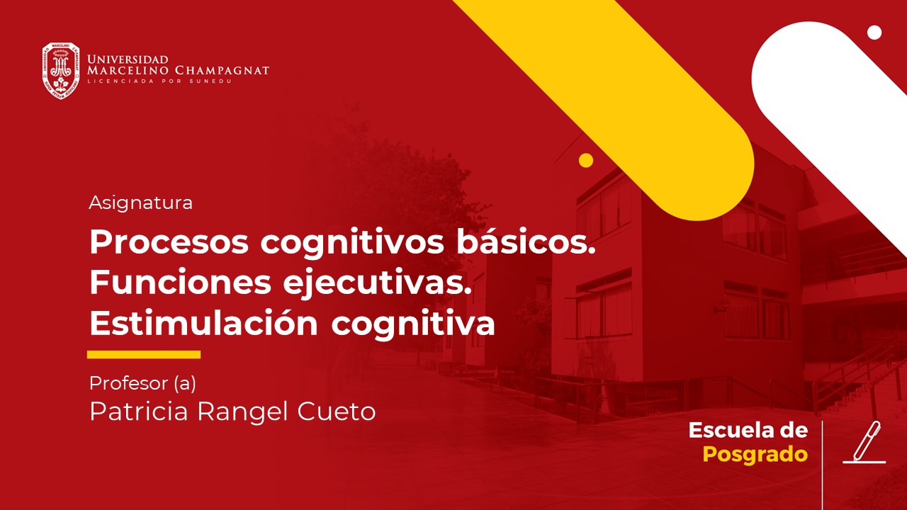 D - Procesos cognitivos básicos. Funciones ejecutivas y autorregulación. Estimulación cognitiva.