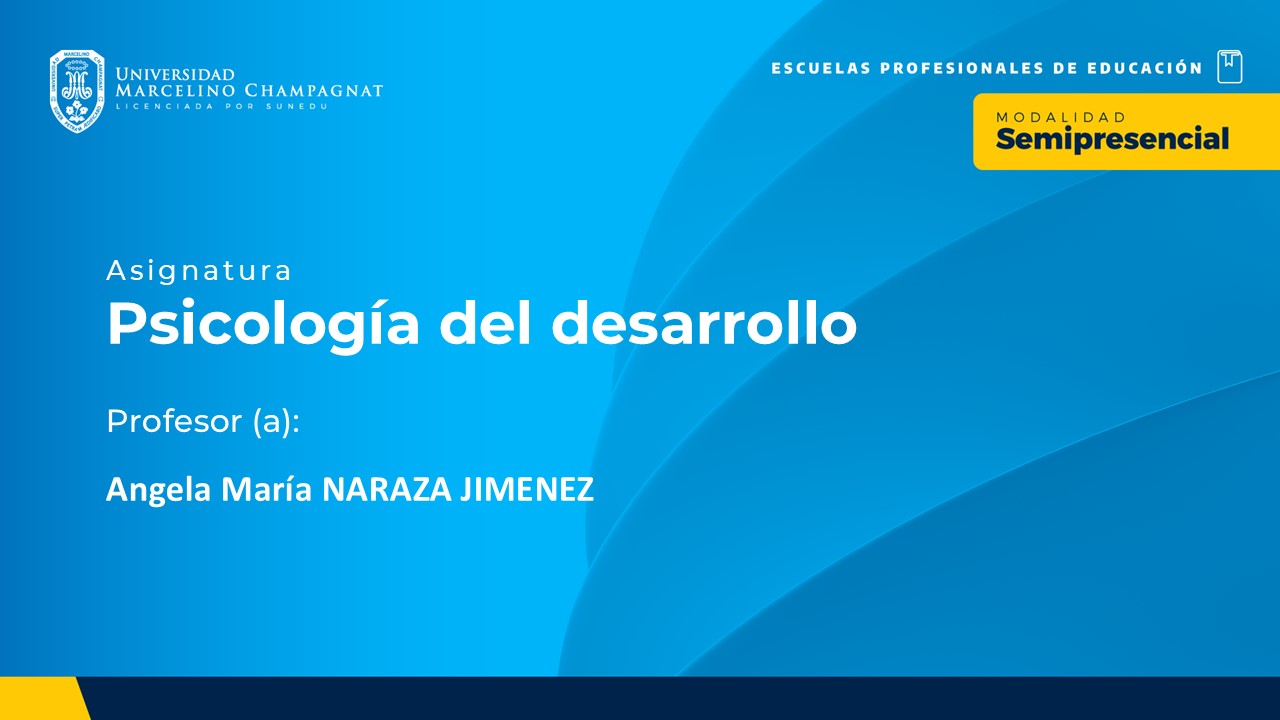 BL25 - PSICOLOGIA DEL DESARROLLO (Sem III- Sección: B y D)
