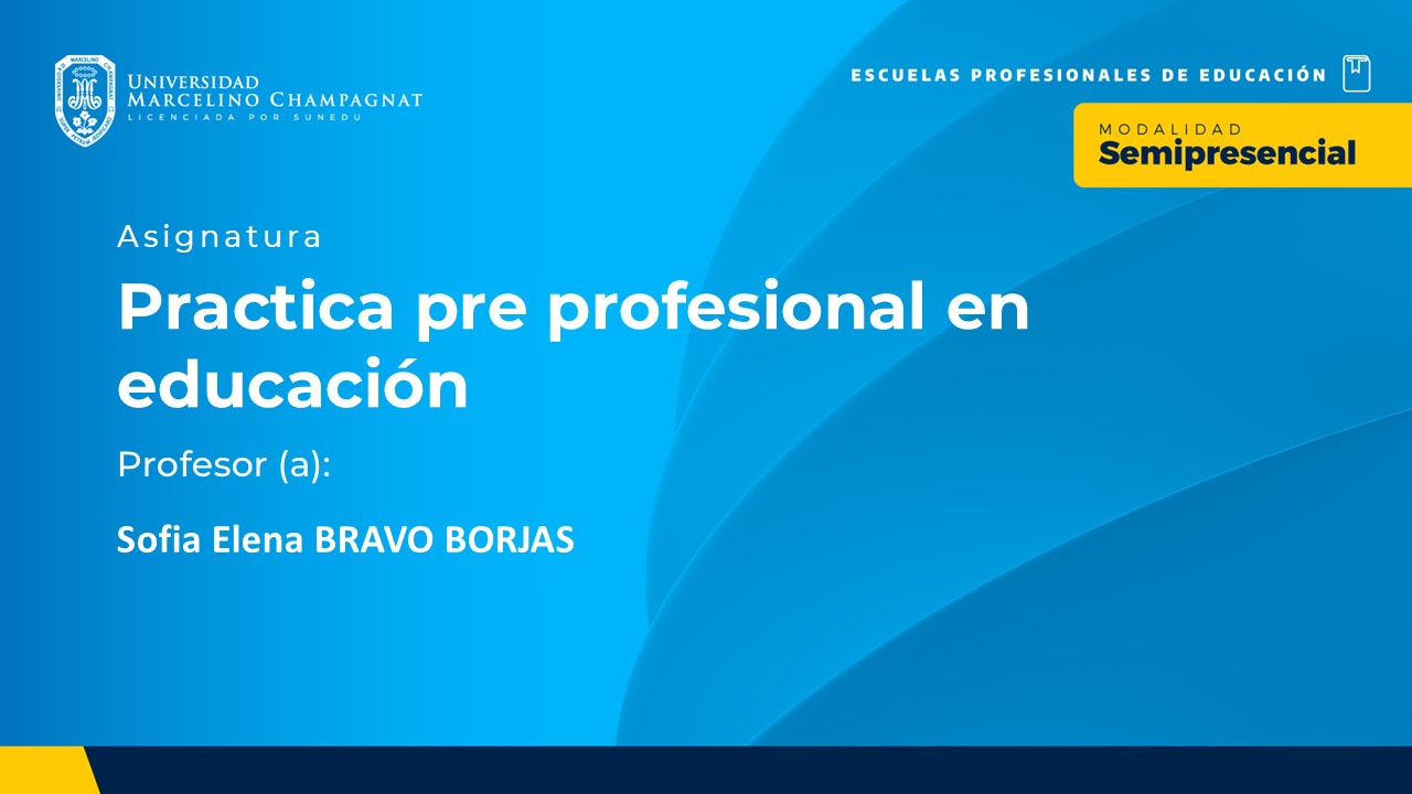 BL25 - PRACTICA PRE PROFESIONAL EN EDUCACION