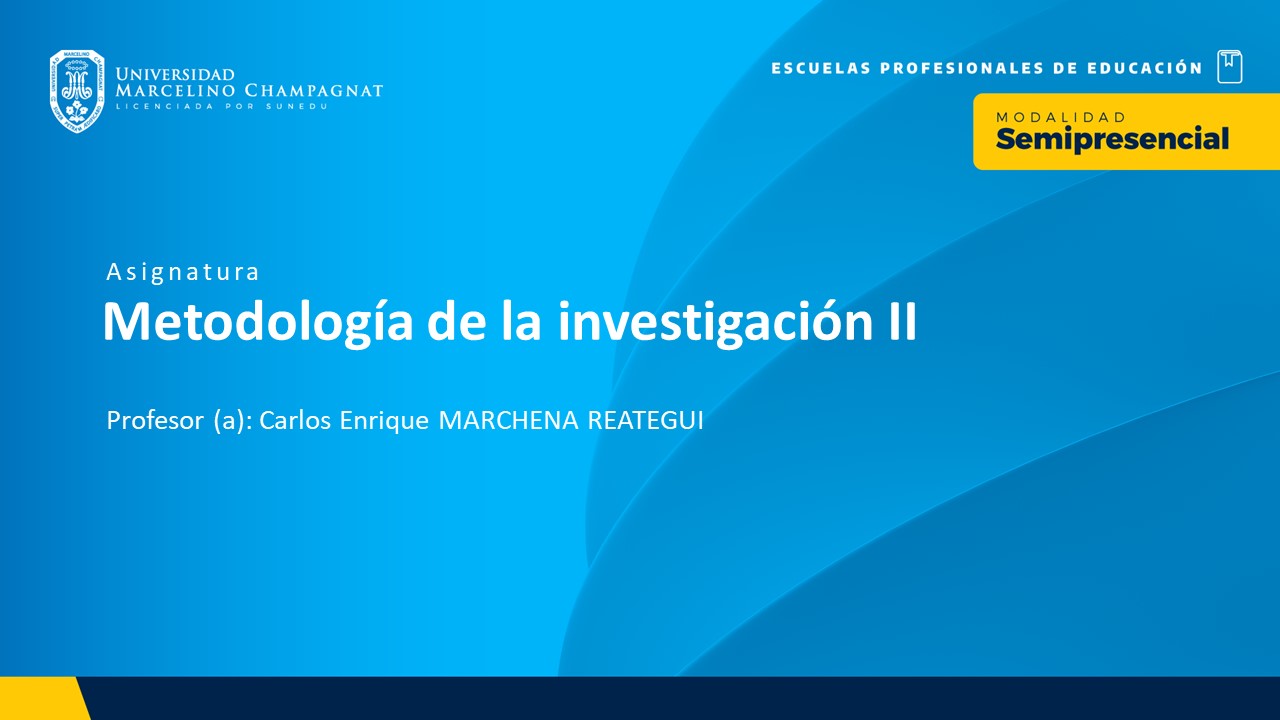 BL25 - SEMINARIO DE INVESTIGACION II