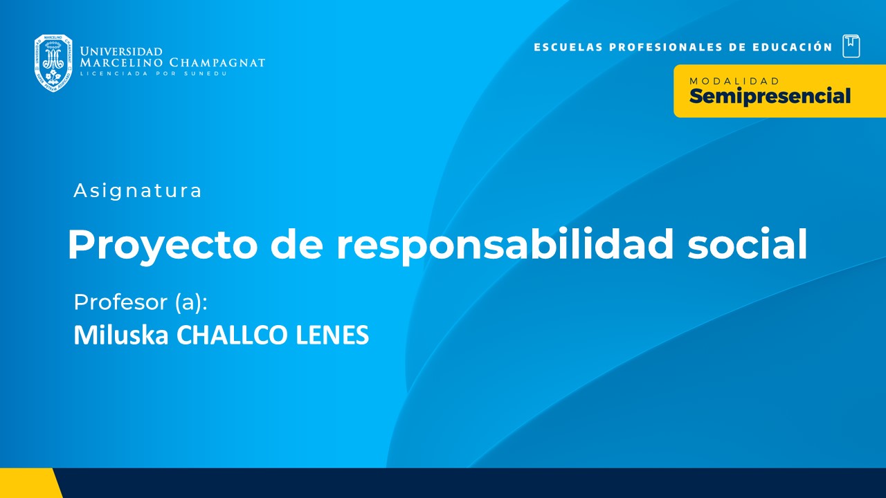 BL25 - (VIII) PROYECTO DE RESPONSABILIDAD SOCIAL 