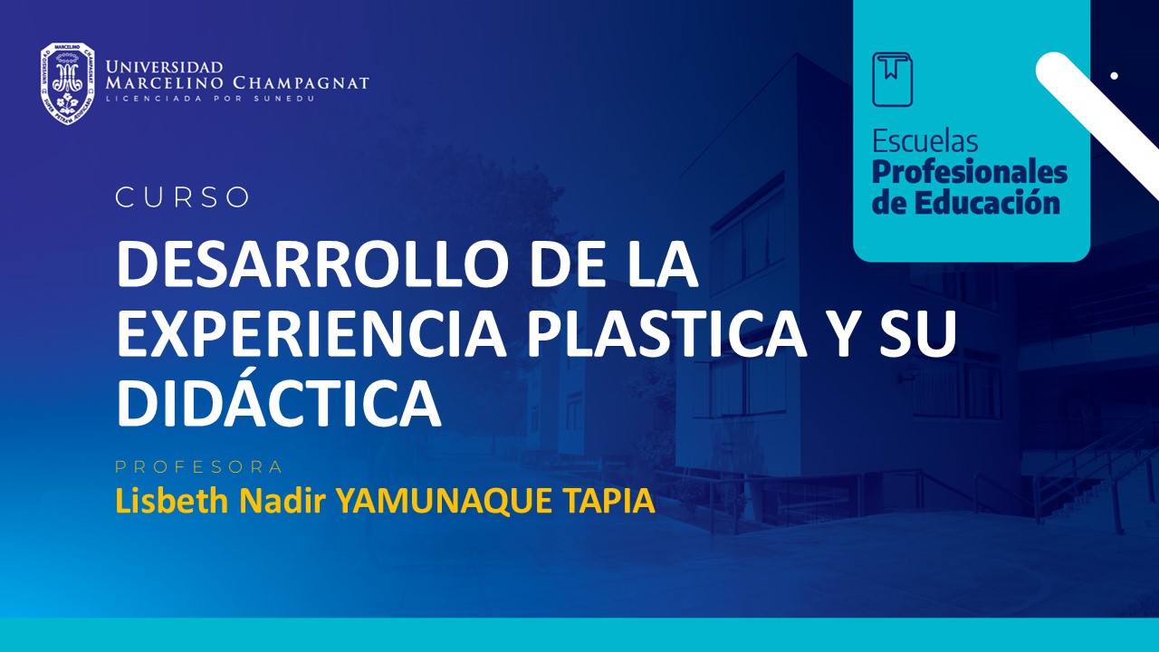 DESARROLLO DE LA EXPERIENCIA PLASTICA Y SU DIDACTICA