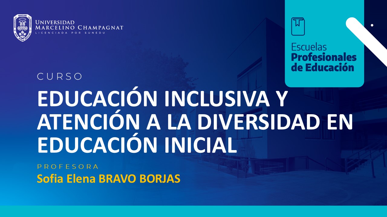 EDUCACION INCLUSIVA Y ATENCION A LA DIVERSIDAD EN EDUCACION INICIAL (BRAVO)