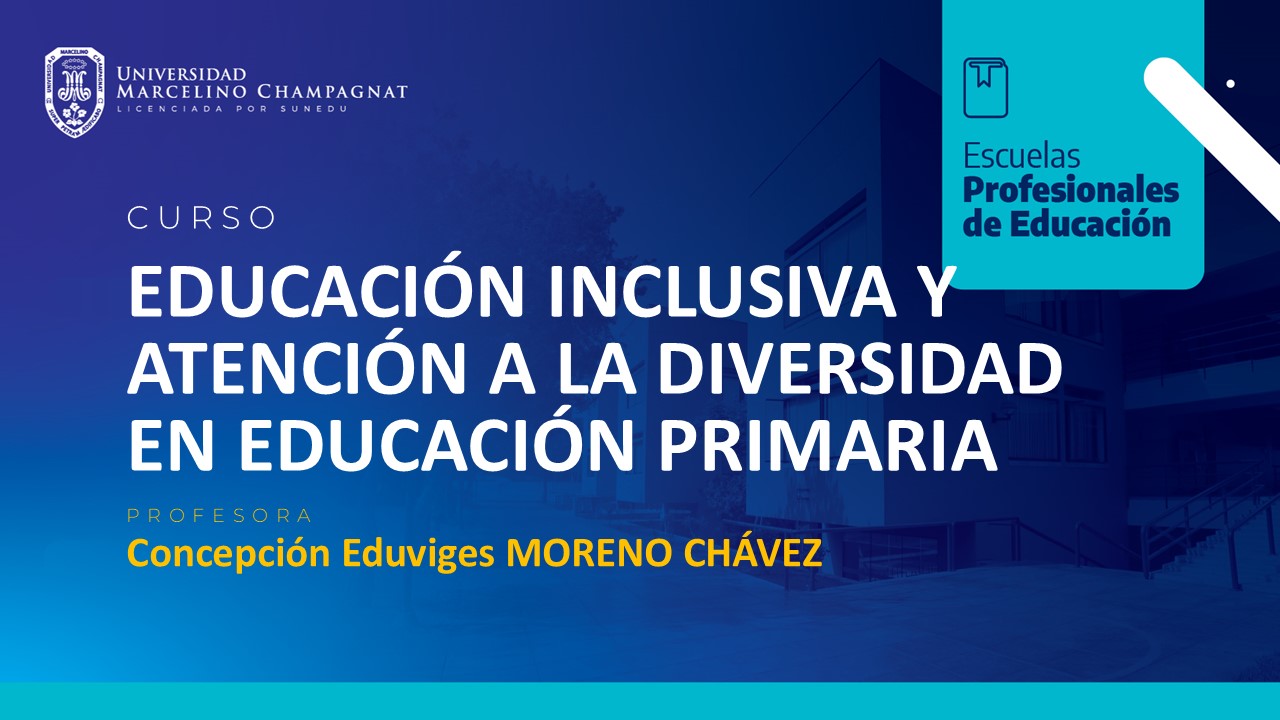 EDUCACION INCLUSIVA Y ATENCION A LA DIVERSIDAD EN EDUCACION PRIMARIA