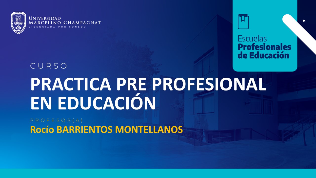 PRACTICA PRE PROFESIONAL EN EDUCACION