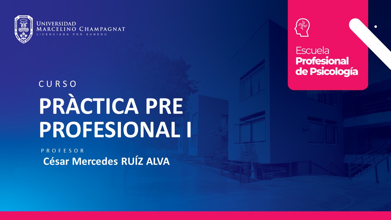PRACTICA PRE PROFESIONAL I