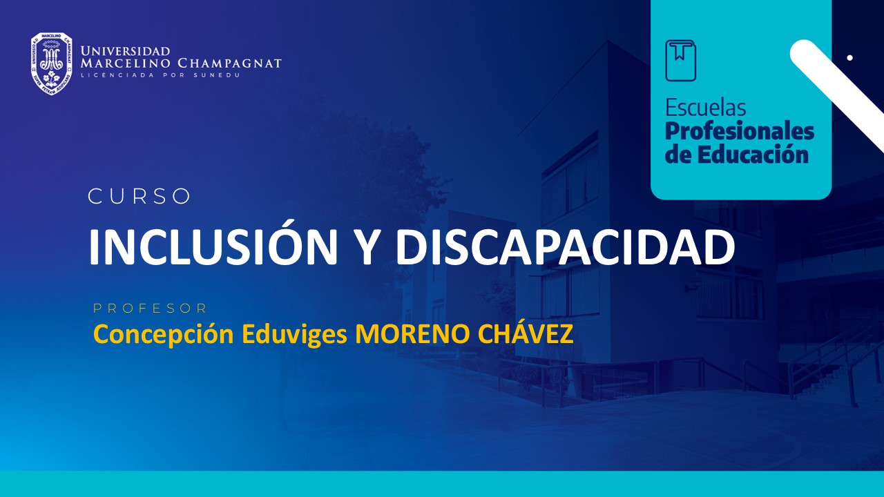INCLUSION Y DISCAPACIDAD - VIRTUAL