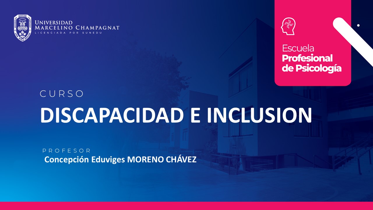 DISCAPACIDAD E INCLUSION - VIRTUAL