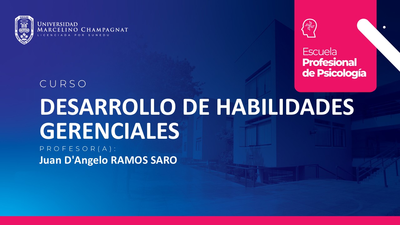 T PS - DESARROLLO DE HABILIDADES GERENCIALES
