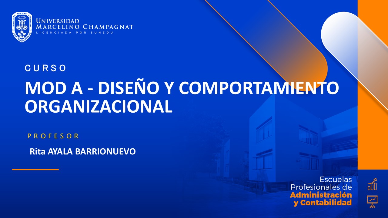 MOD A - DISEÑO Y COMPORTAMIENTO ORGANIZACIONAL