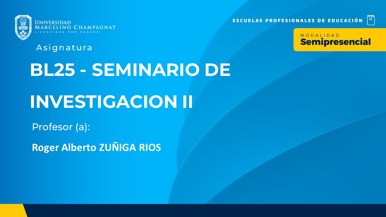 BL25 - SEMINARIO DE INVESTIGACION II