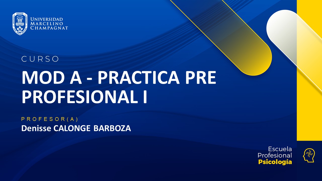 MOD A - PRACTICA PRE PROFESIONAL I