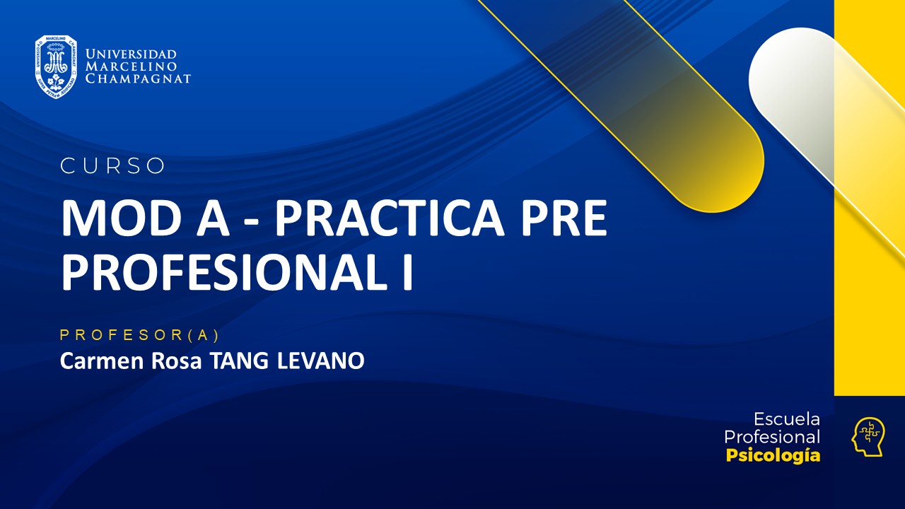 MOD A - PRACTICA PRE PROFESIONAL I