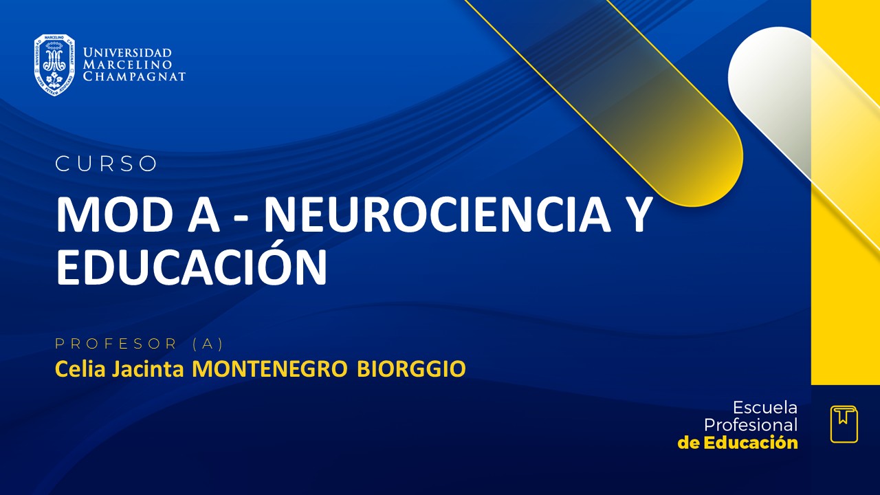 MOD A - NEUROCIENCIA Y EDUCACIÓN - VIRTUAL