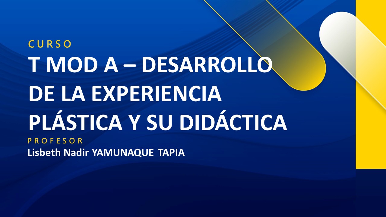 T MOD A - DESARROLLO DE LA EXPERIENCIA PLÁSTICA Y SU DIDÁCTICA
