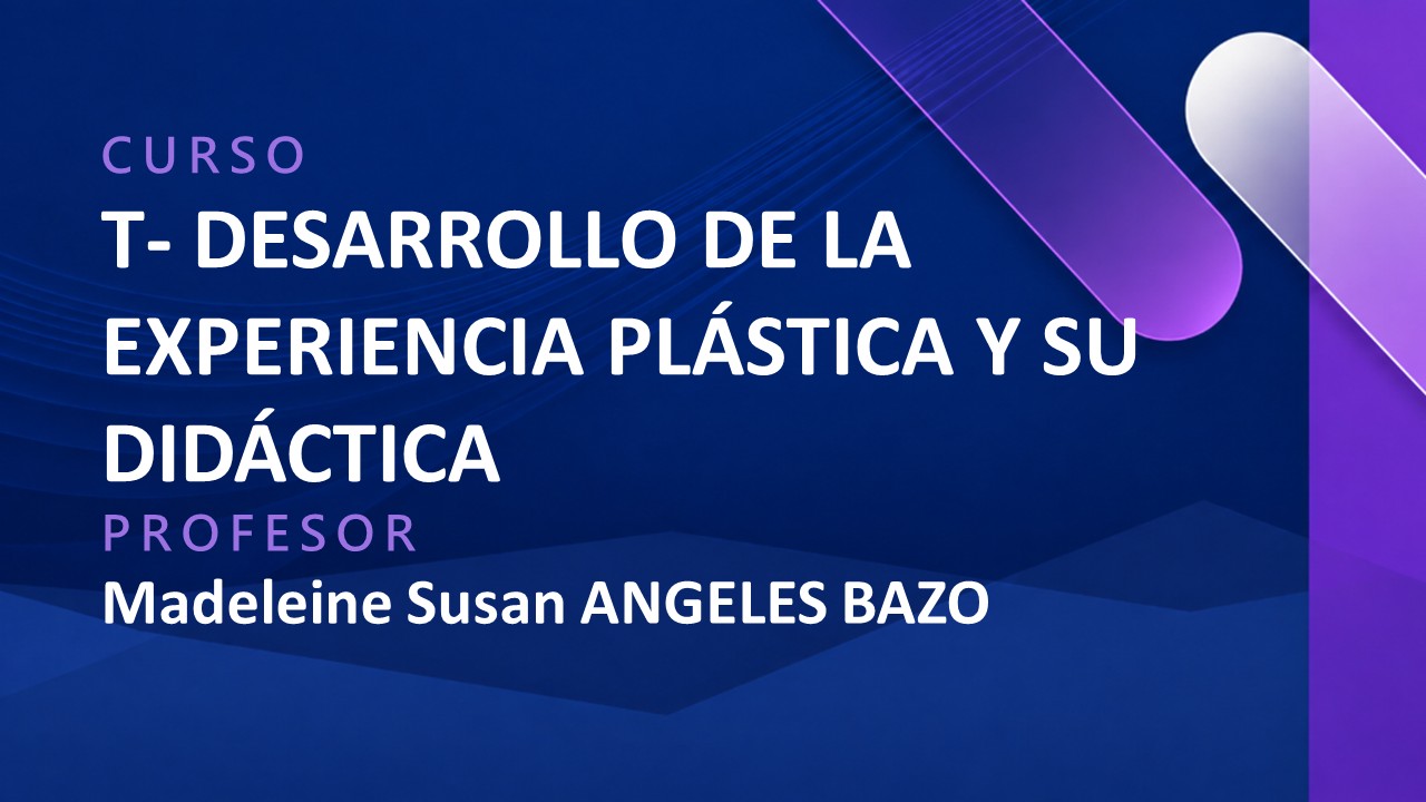 T - DESARROLLO DE LA EXPERIENCIA PLÁSTICA Y SU DIDÁCTICA