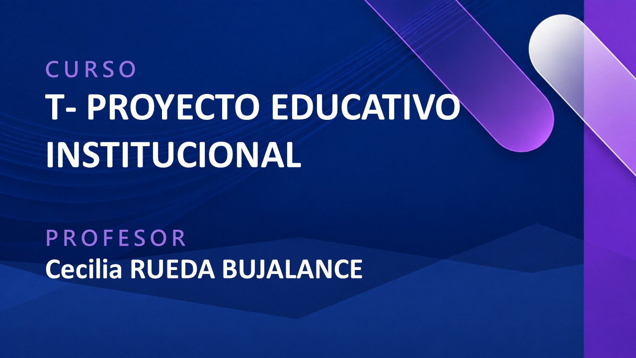 T - PROYECTO EDUCATIVO INSTITUCIONAL